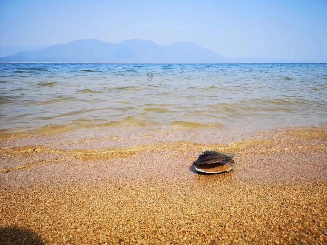 合燃华润燃气店埠输气站正式通气 海气直达合肥